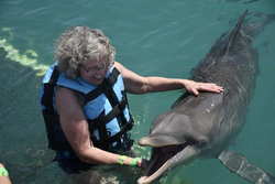 Encountering a dolphin